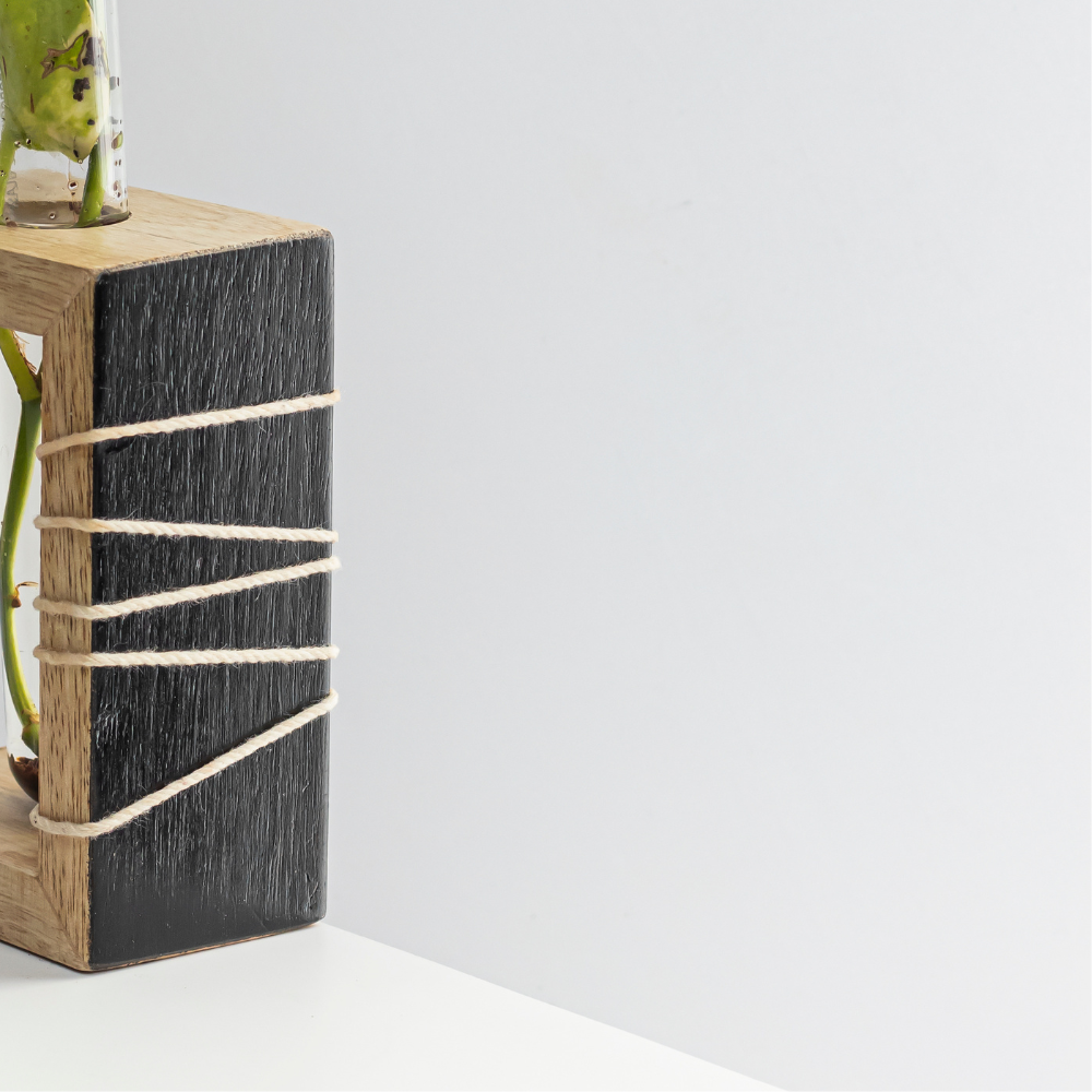 Prakriti Mango Wood Test Tube Planter | Single Tube Indoor Planter