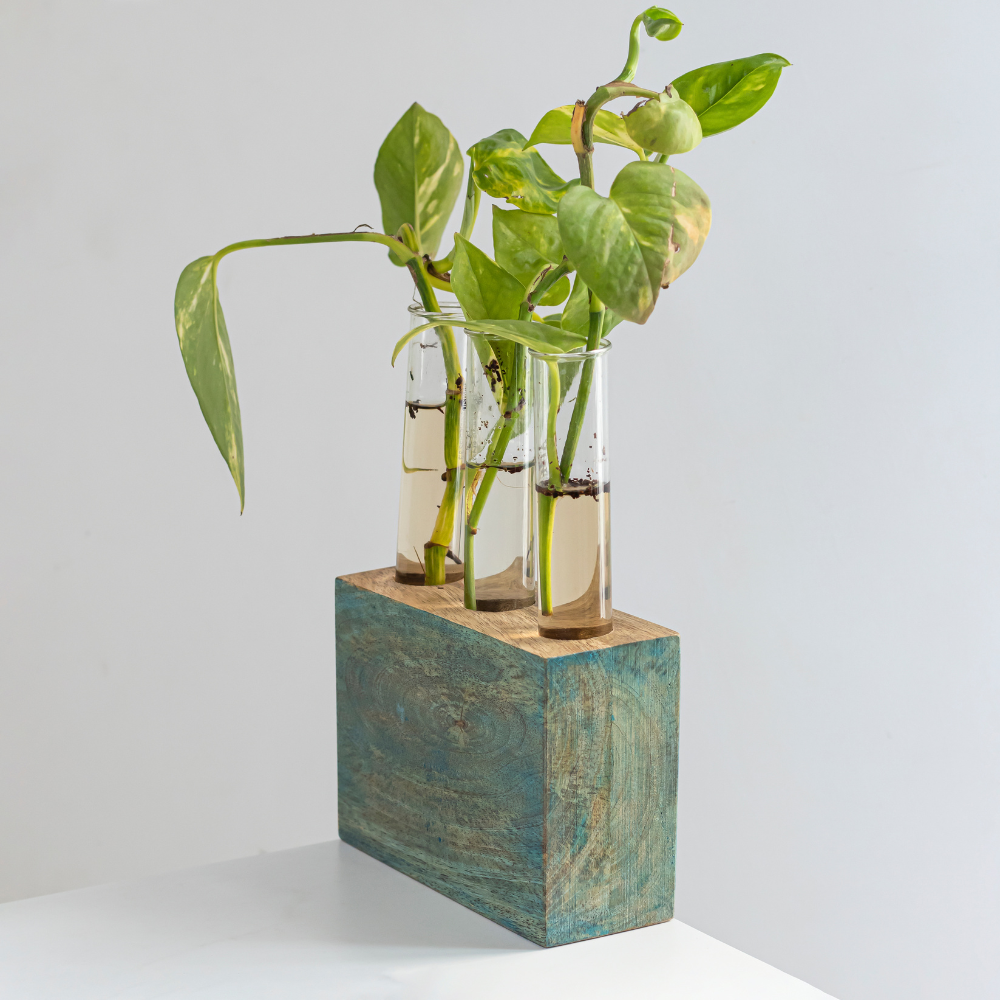 Set of three Kashtham Mango Wood Test Tube Planters by Mirai Woods, featuring natural wooden plant holders with glass test tubes for indoor plants.
