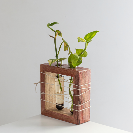 Apaiser Mango Wood Test Tube Planter | Minimal Desk Planter (Set of 2)