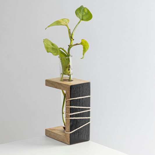 Prakriti Mango Wood Test Tube Planter | Single Tube Indoor Planter