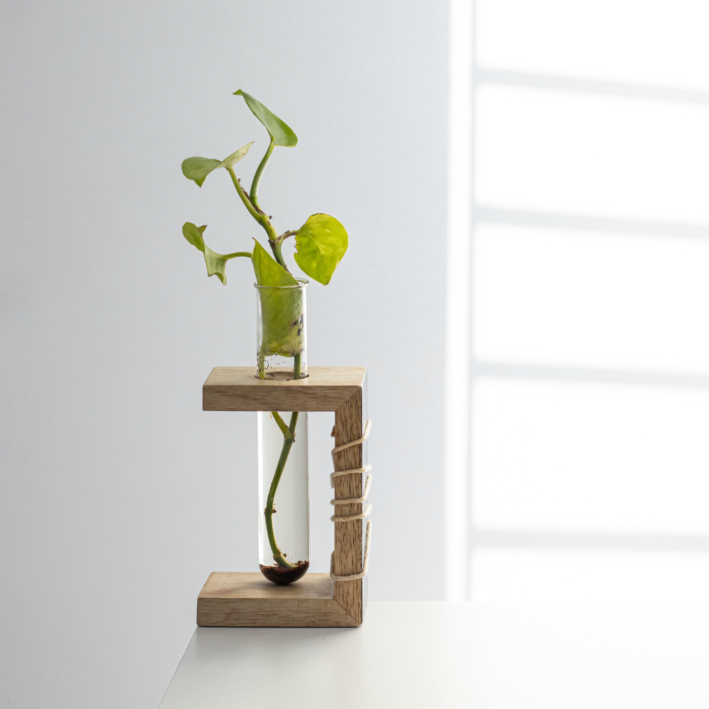 Prakriti Mango Wood Test Tube Planter | Single Tube Indoor Planter