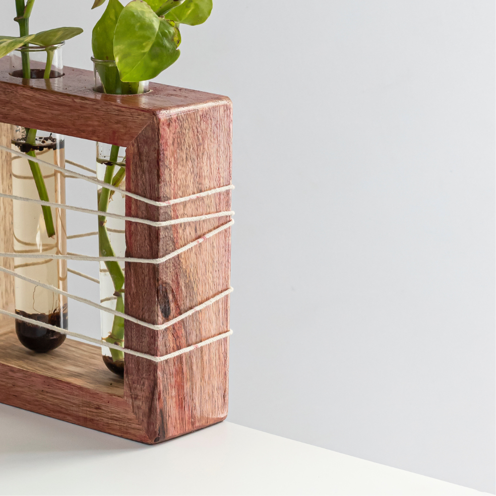Apaiser Mango Wood Test Tube Planter | Minimal Desk Planter (Set of 2)
