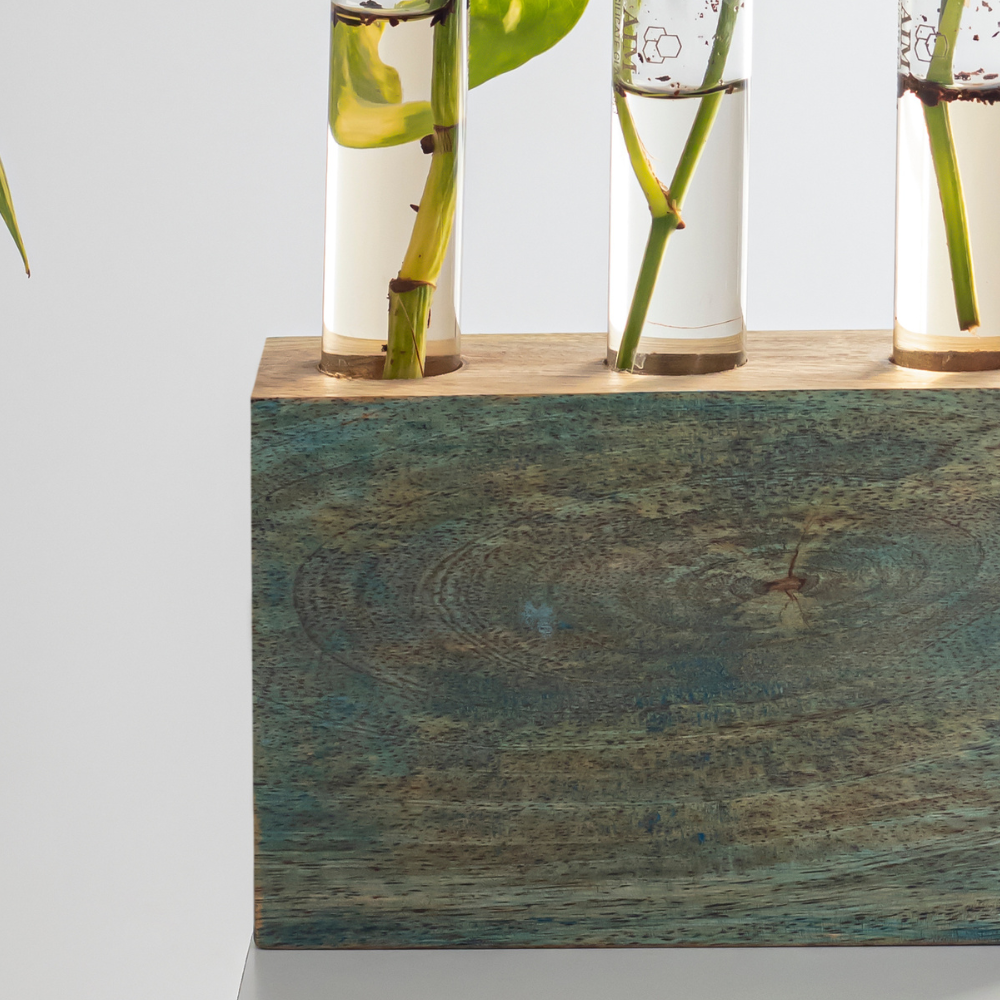 Set of three Kashtham mango wood test tube planters by Mirai Woods, natural wooden plant holders for small indoor plants.